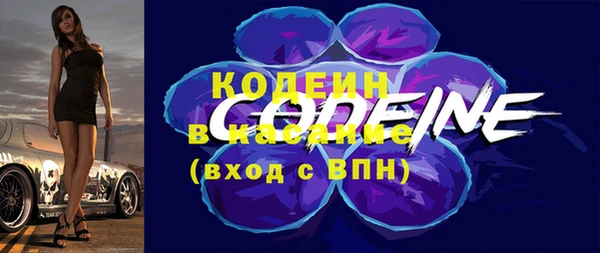 таблы Бородино
