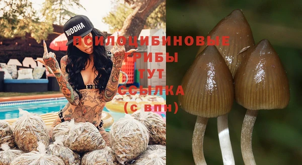 дживик Бугульма