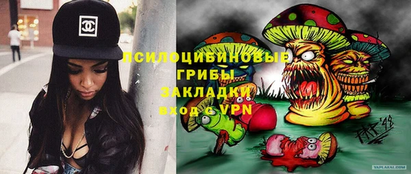 дживик Бугульма